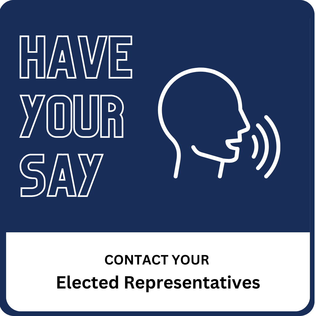 Have Your Say
