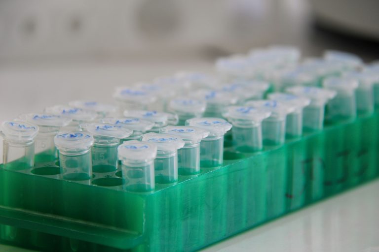 Eppendorf tubes in a tube holder in a science laboratory.